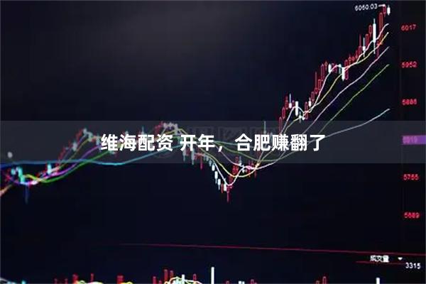 维海配资 开年，合肥赚翻了