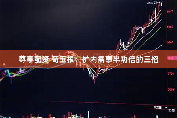 尊享配资 荀玉根：扩内需事半功倍的三招