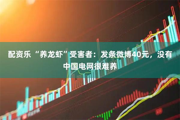 配资乐 “养龙虾”受害者：发条微博40元，没有中国电网很难养
