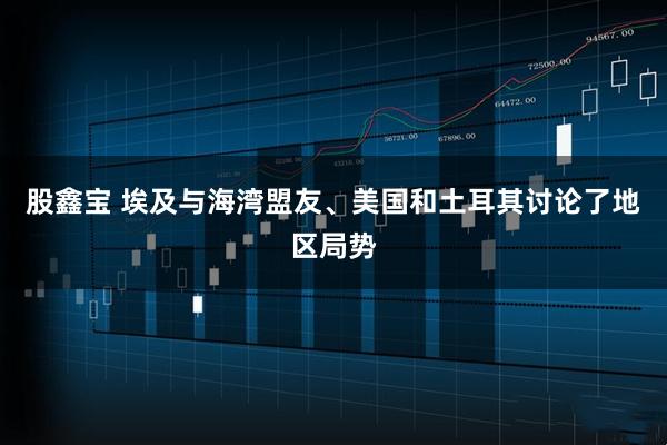 股鑫宝 埃及与海湾盟友、美国和土耳其讨论了地区局势