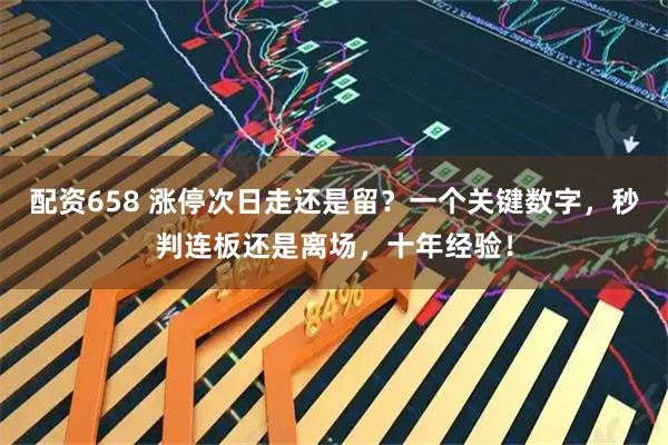 配资658 涨停次日走还是留？一个关键数字，秒判连板还是离场，十年经验！