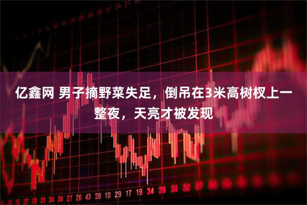 亿鑫网 男子摘野菜失足，倒吊在3米高树杈上一整夜，天亮才被发现